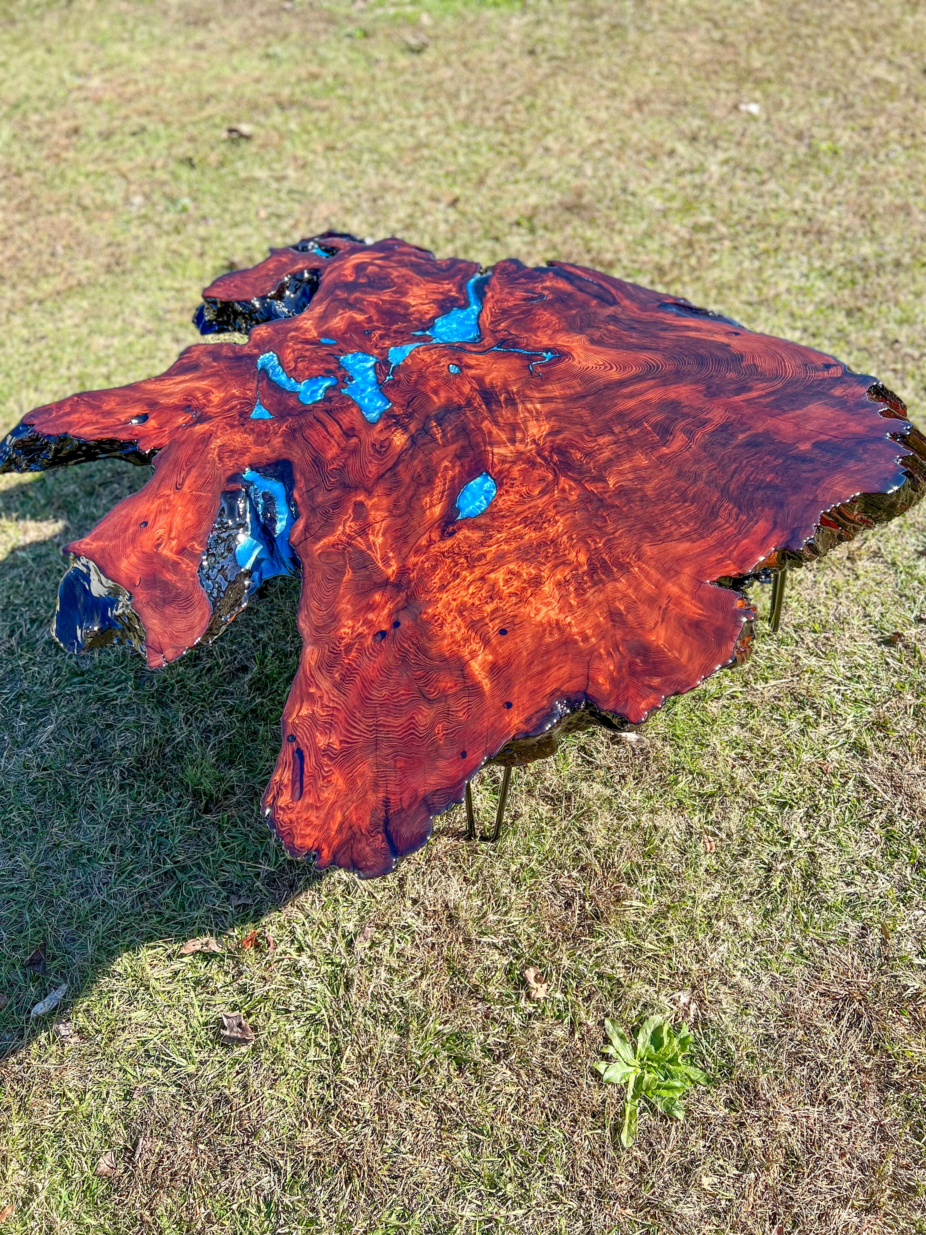 Exotic Redwood Burl Coffee Table