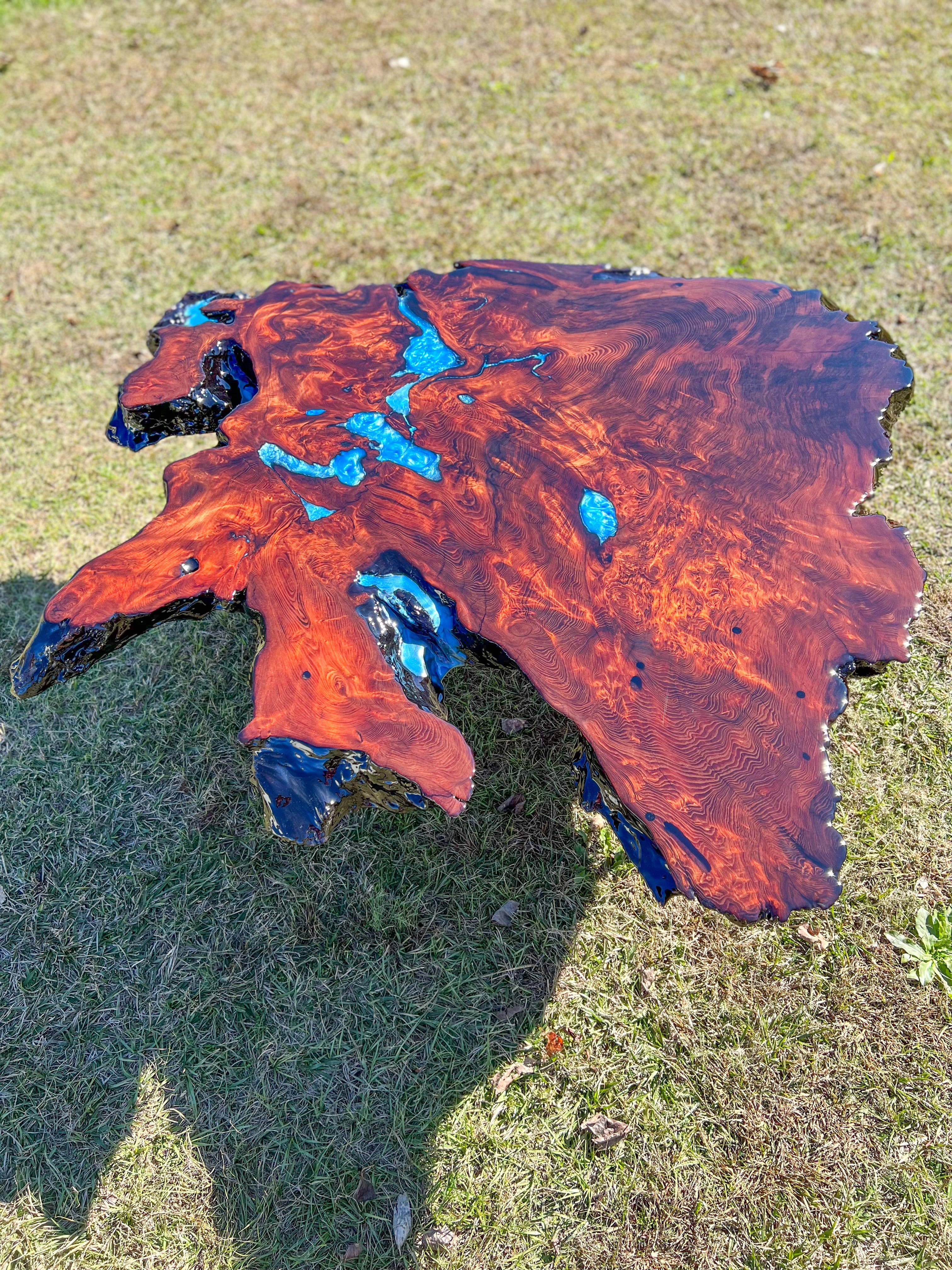 Exotic Redwood Burl Coffee Table