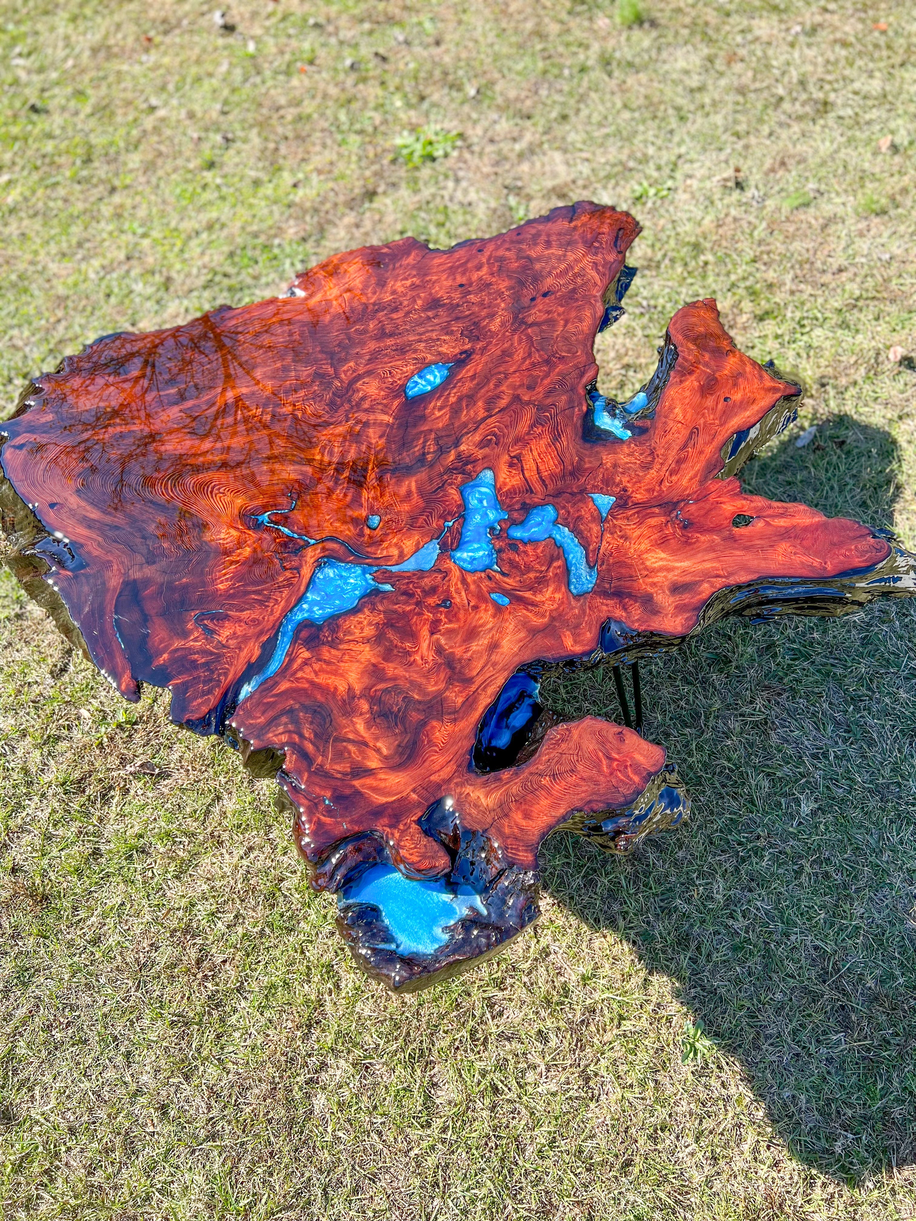 Exotic Redwood Burl Coffee Table