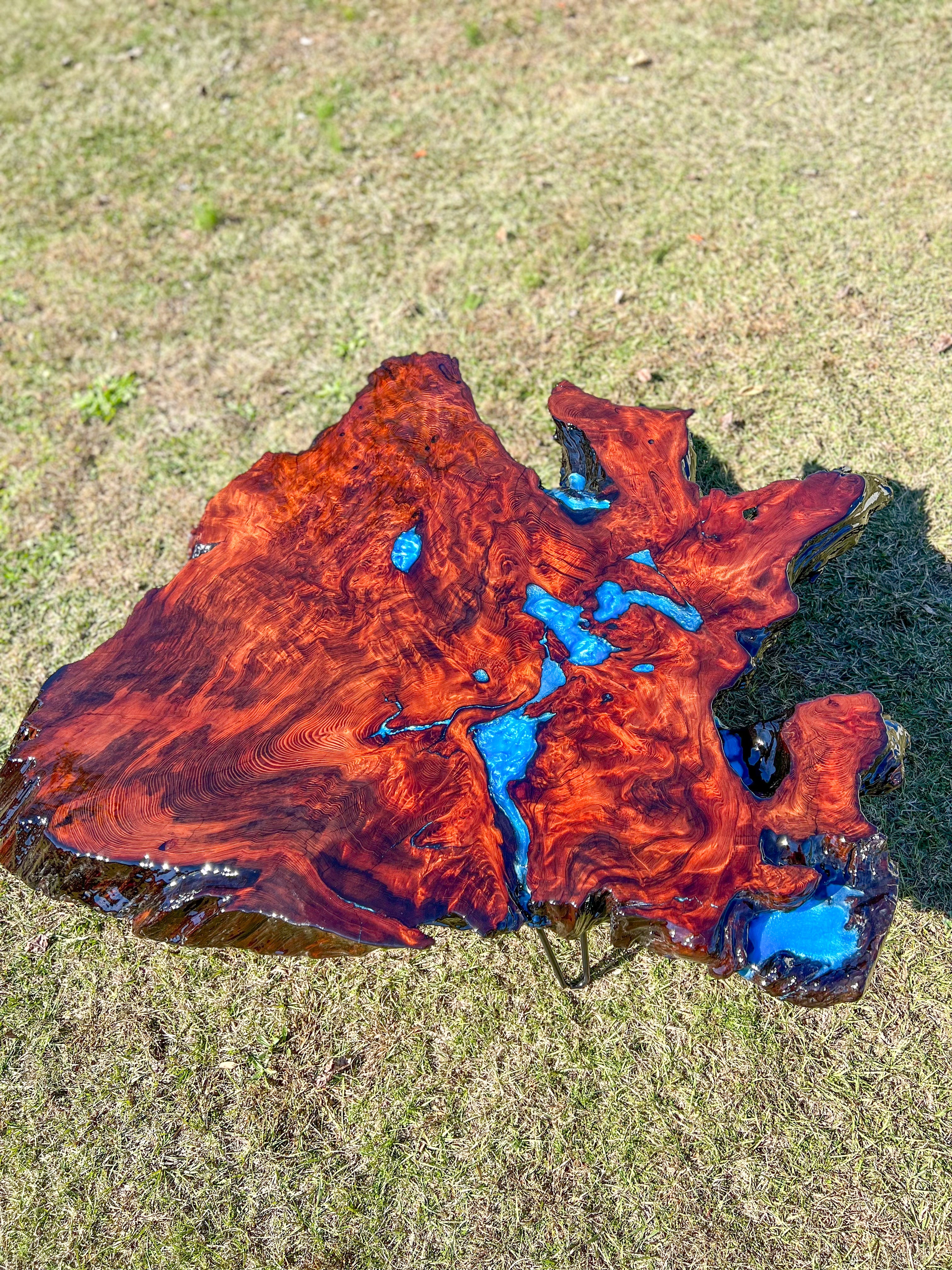 Exotic Redwood Burl Coffee Table