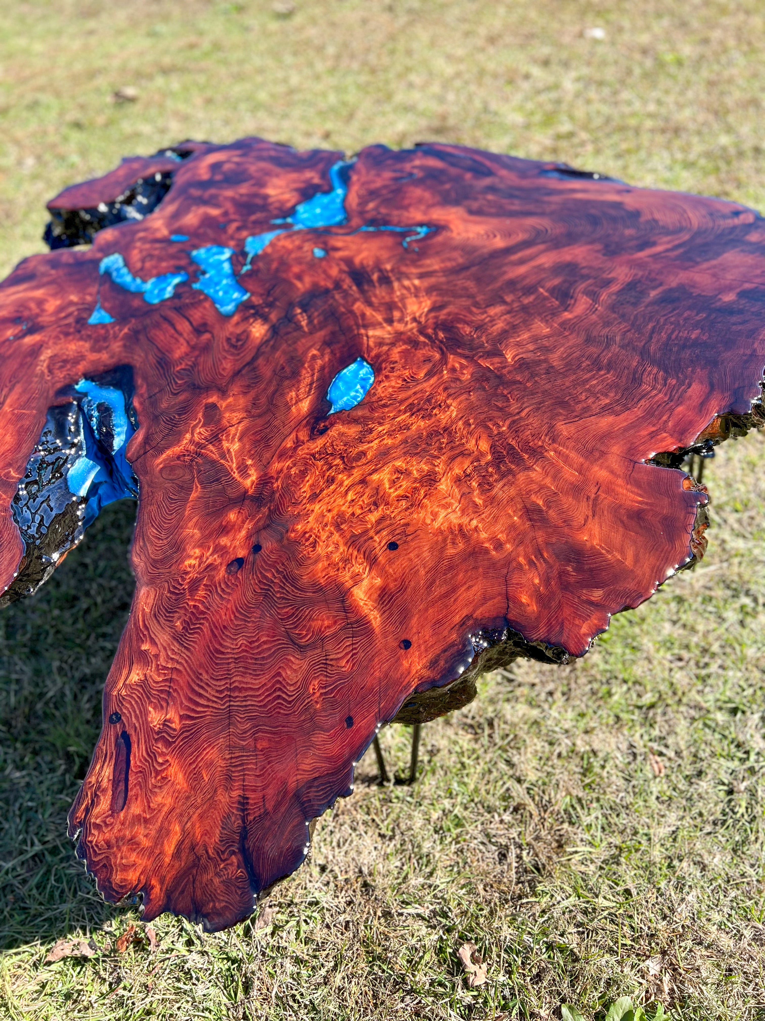 Exotic Redwood Burl Coffee Table