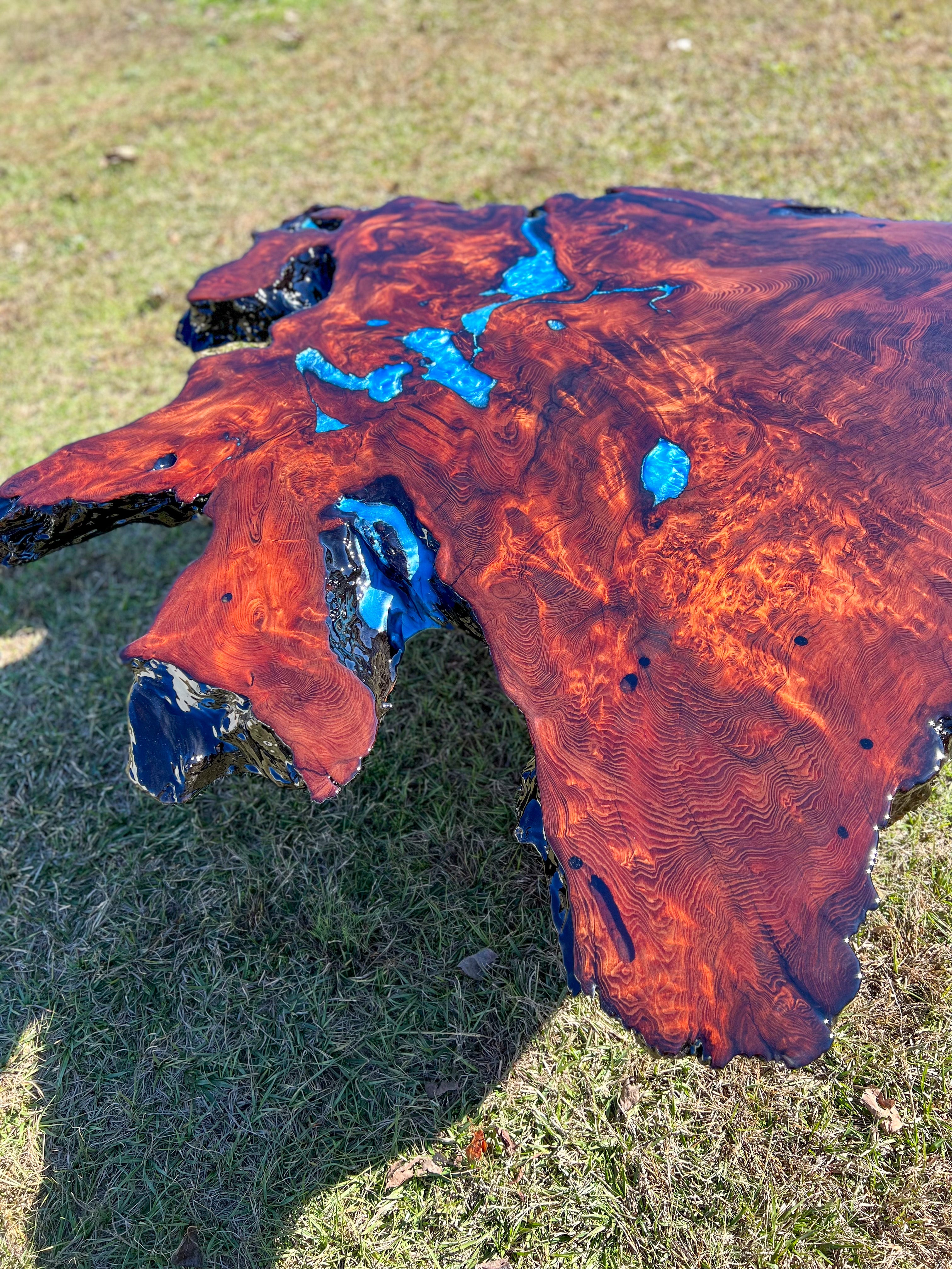 Exotic Redwood Burl Coffee Table