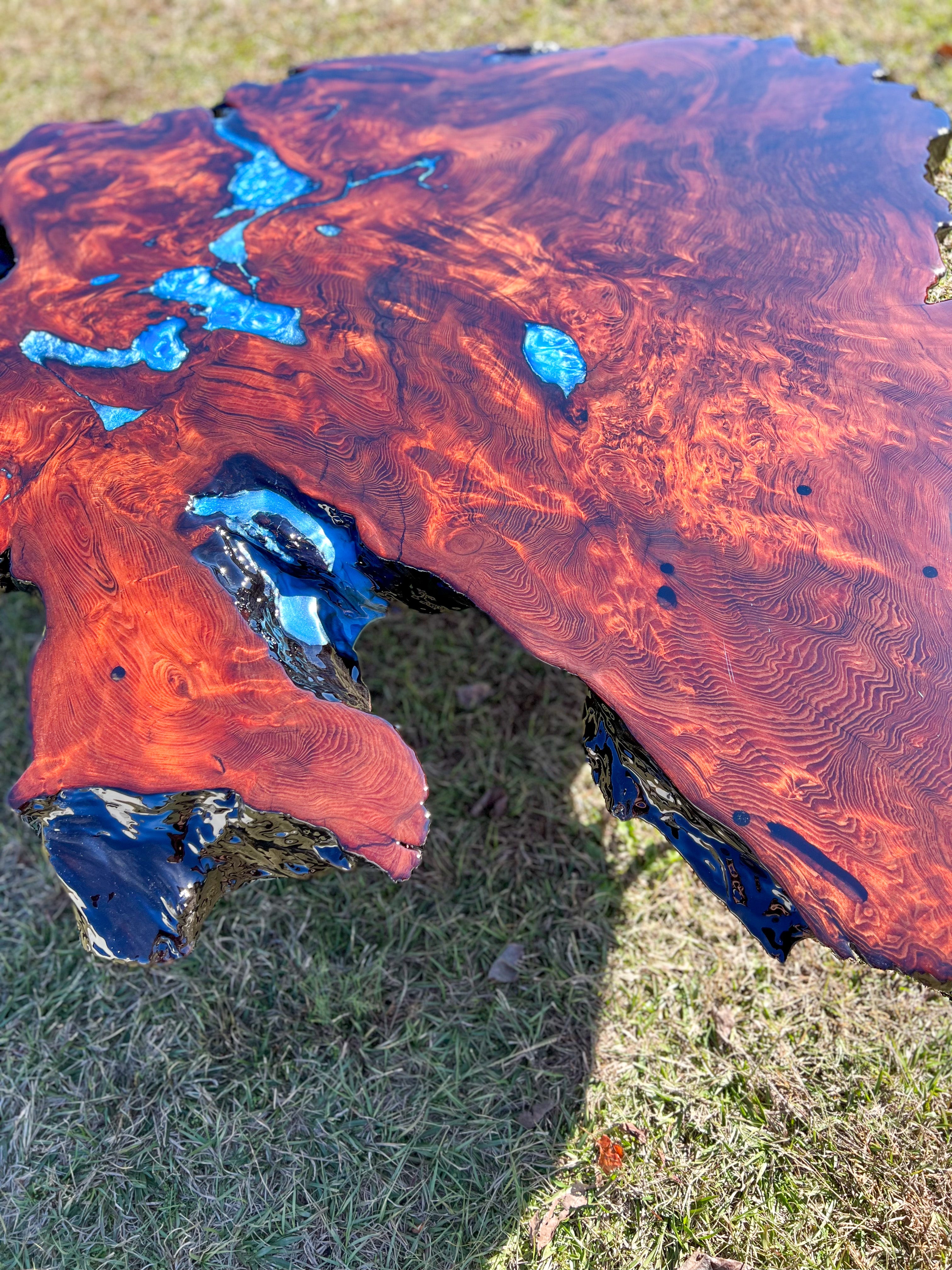 Exotic Redwood Burl Coffee Table