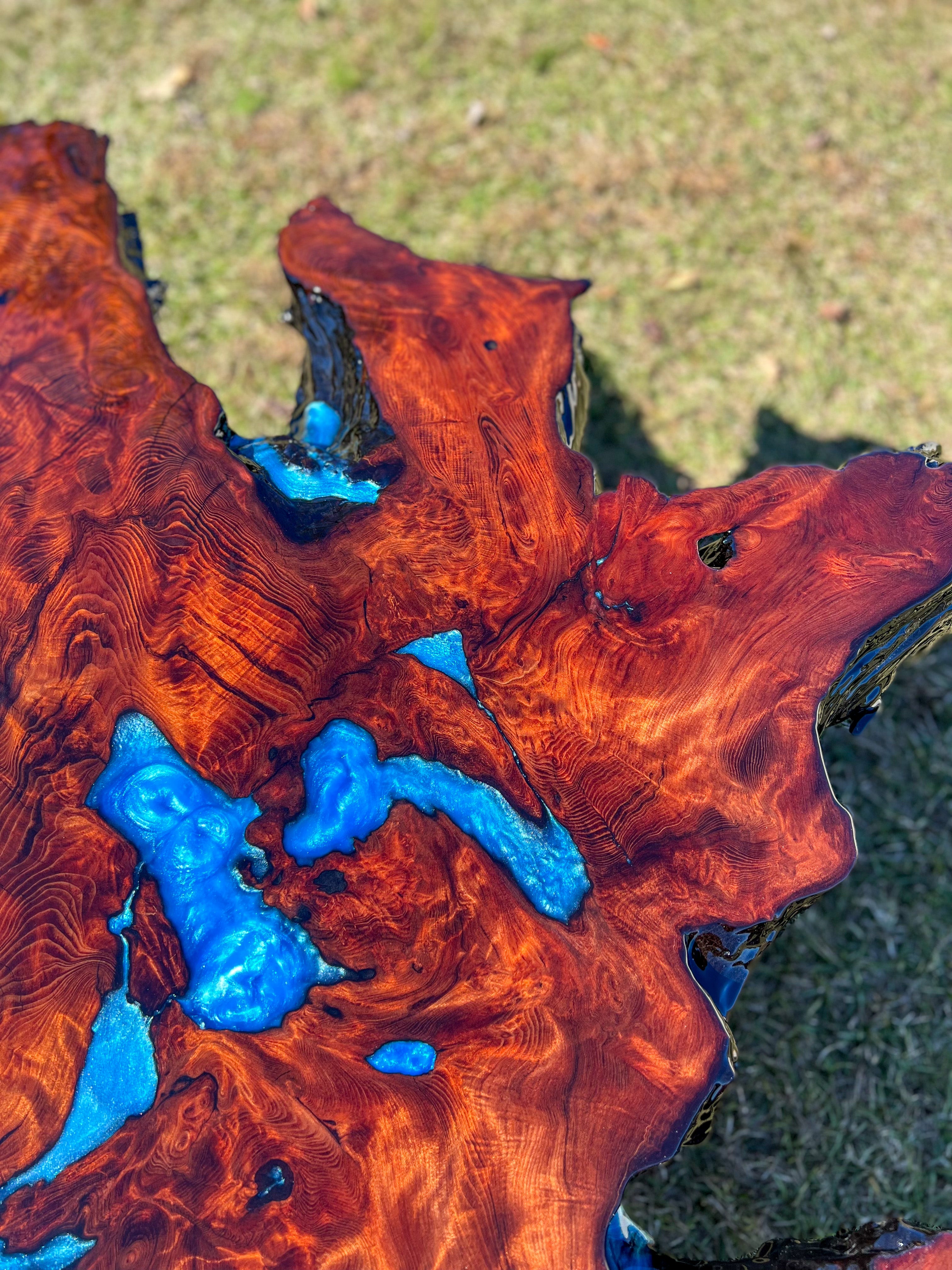 Exotic Redwood Burl Coffee Table