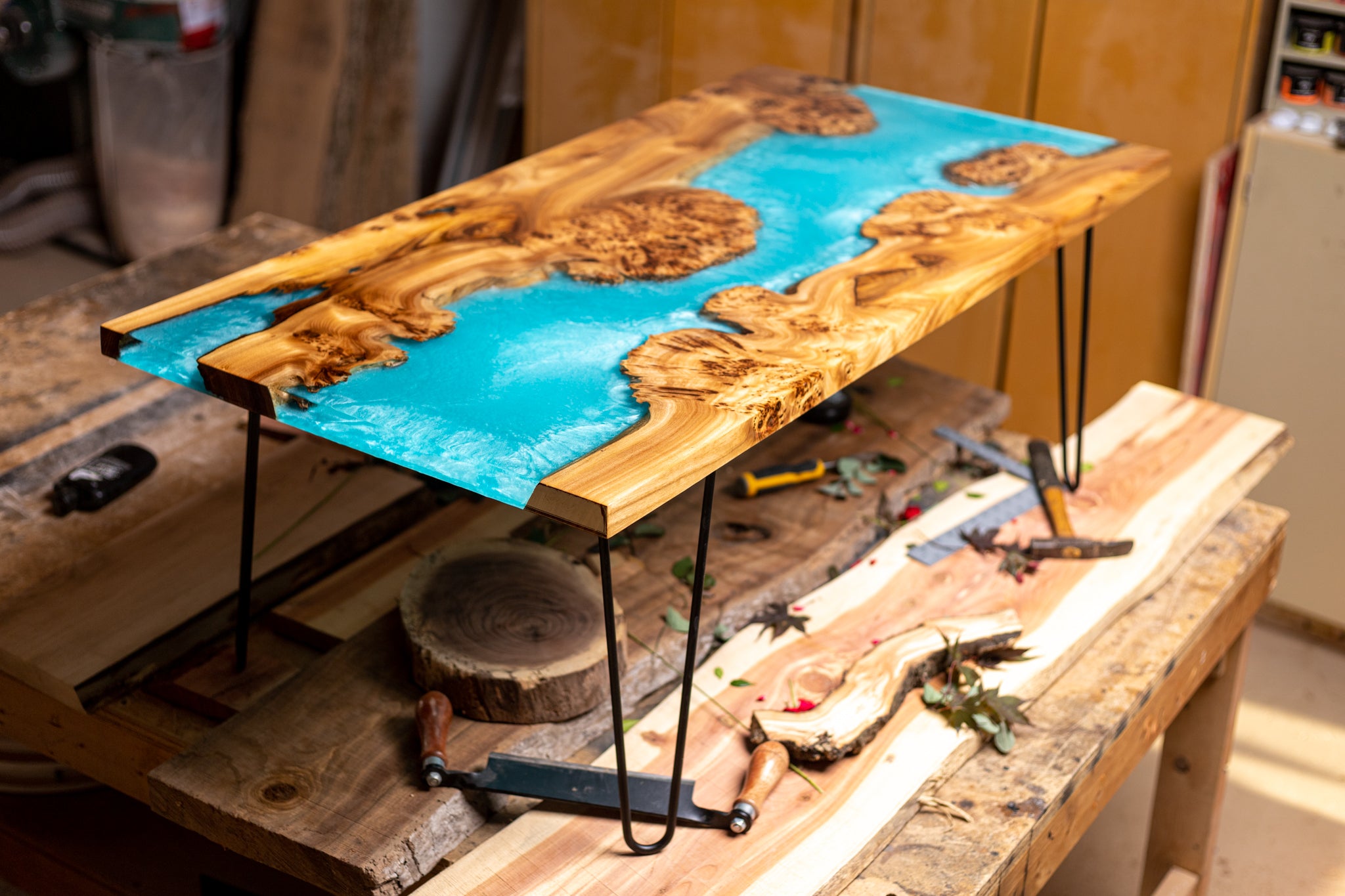 Exotic Turquoise Elm Burl Coffee Table