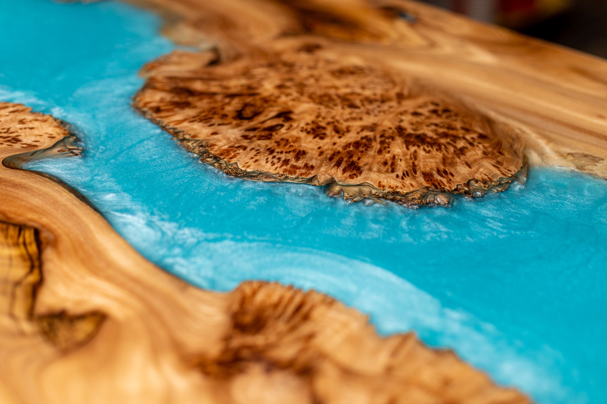 Exotic Turquoise Elm Burl Coffee Table