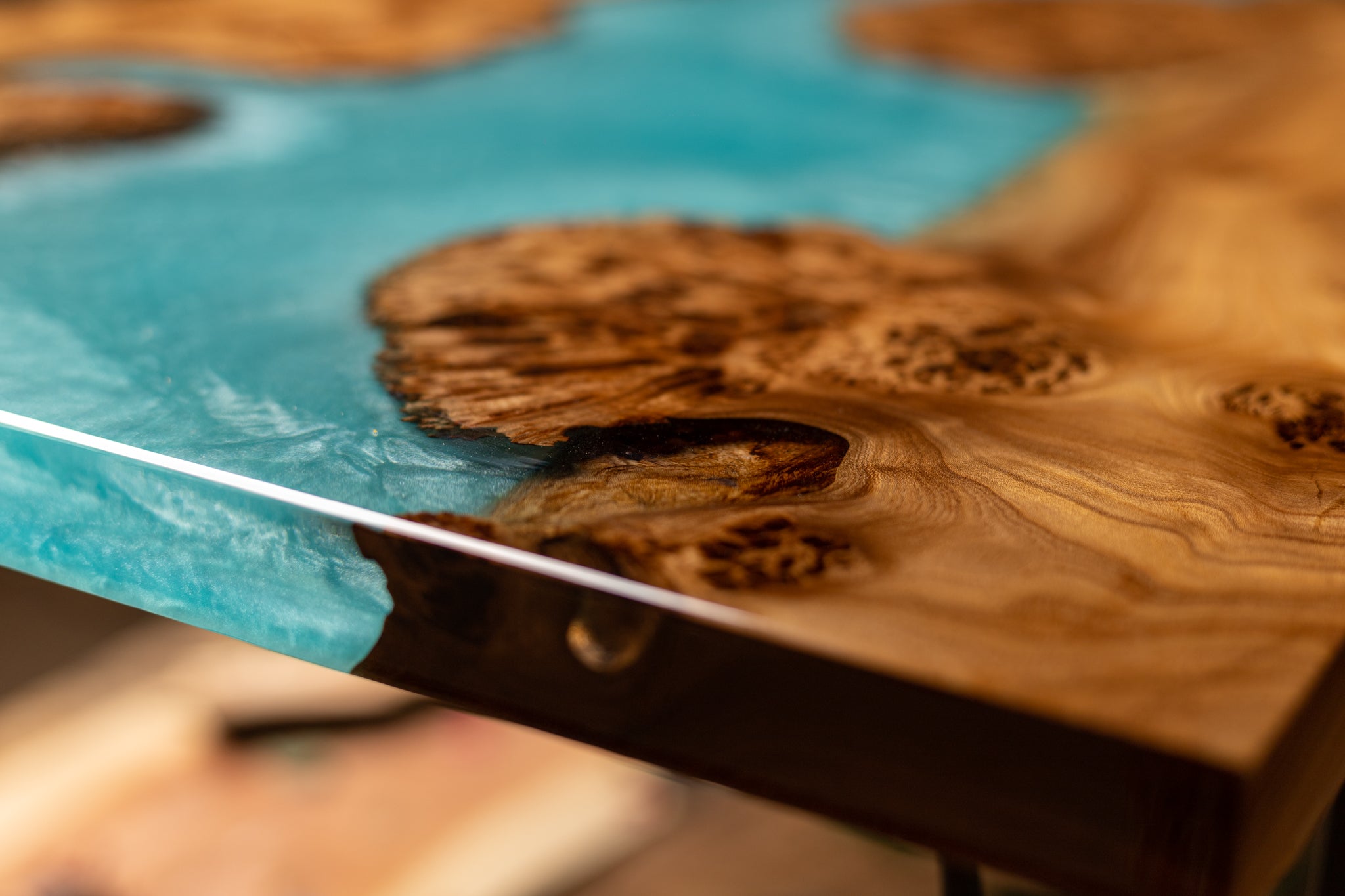 Exotic Turquoise Elm Burl Coffee Table